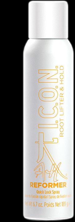 Spray de fijación rápida REFORMER 2024